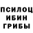 Псилоцибиновые грибы Psilocybine cubensis Maxim Kaysin