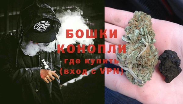 спайс Корсаков